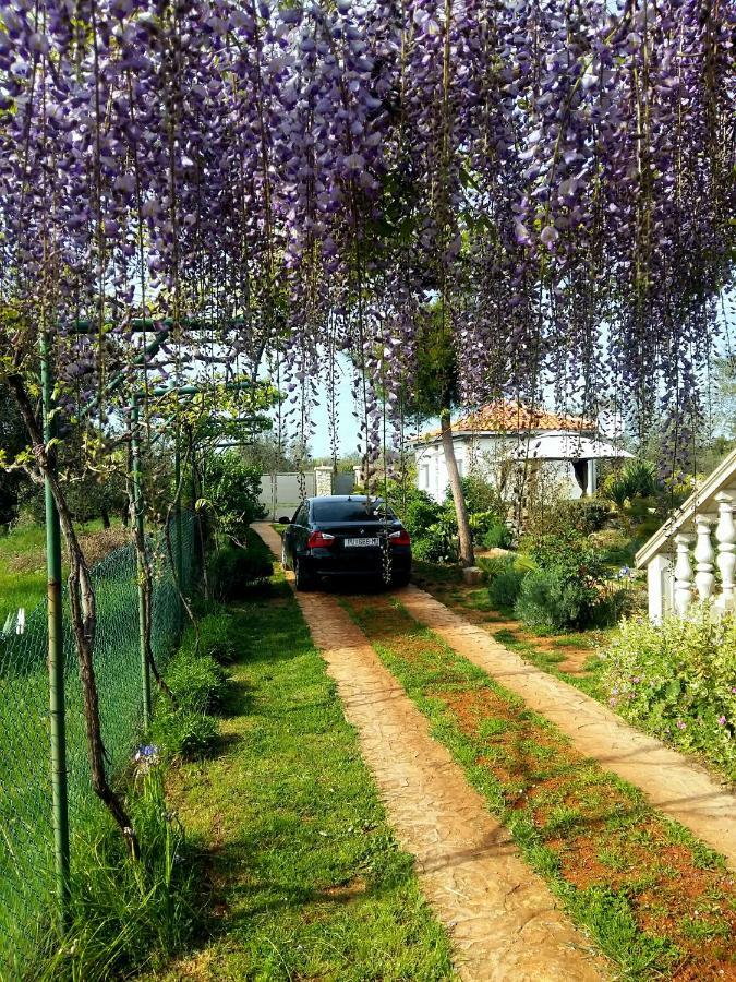 Studio Apartman Vortex Fažana Εξωτερικό φωτογραφία